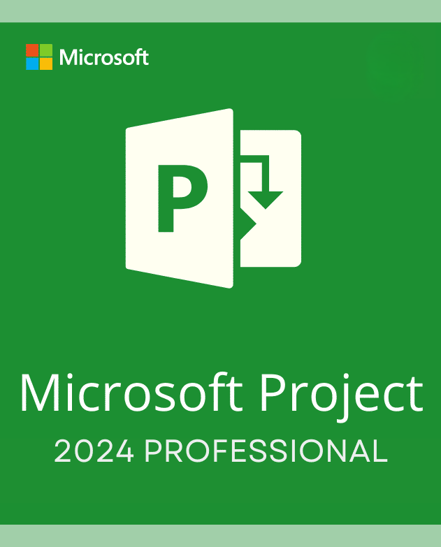 project-2024-professional