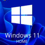 Microsoft Windows 11 Home Retail License Key