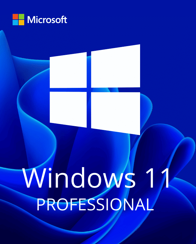 Product graphic for a Windows 11 Professional activation key, featuring the official Windows 11 logo.