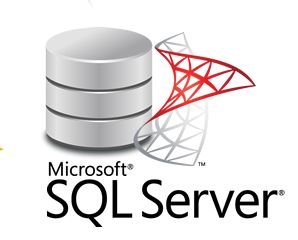 Microsoft SQL Server database cylinder logo